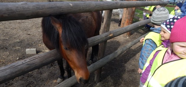 W gospodarstwie wiejskim