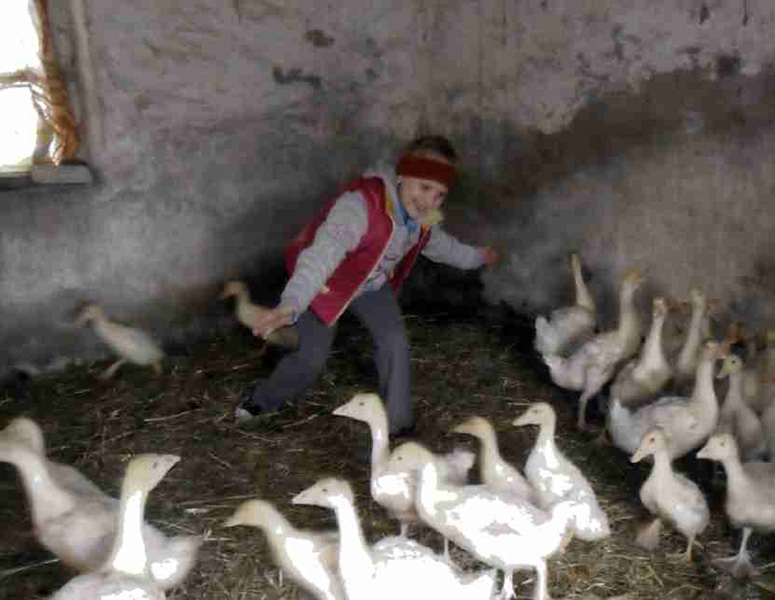 Gonitwa-z-gąskami-3-Kinga-Wiertel