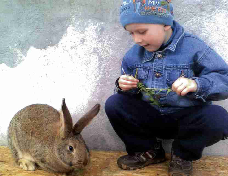 Głodny-przyjaciel-2-Maciej-Kucharski