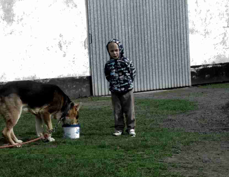 Jakub-karmi-psa-2-Jakub-Sokłak