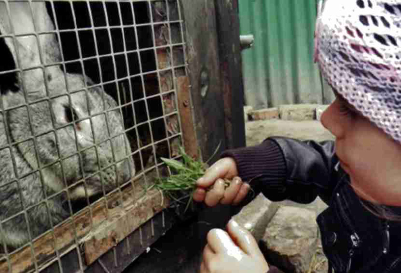 Marta-z-królikiem-3-Marta-Korbal