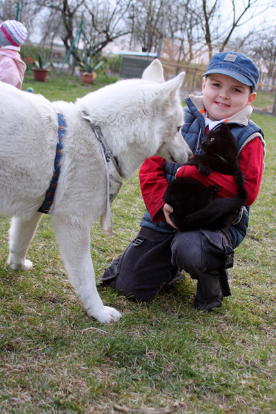 Nasze-kochane-zwierzaki-3-Wiktor-Kozłowski