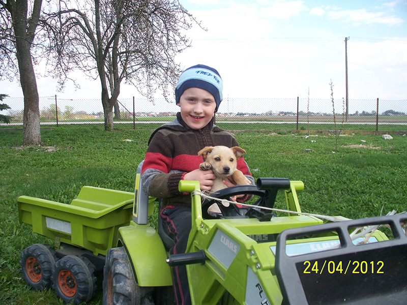Przejażdżka-z-psem-traktorem-1-Kacper-Kościelski