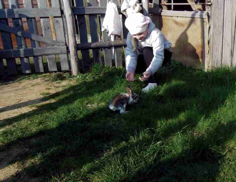 Łapanie-króliczka-1-Kinga-Wiertel